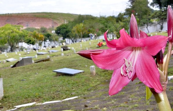 Cemitério Nossa Senhora da Piedade terá missas em homenagem ao Dia de Finados